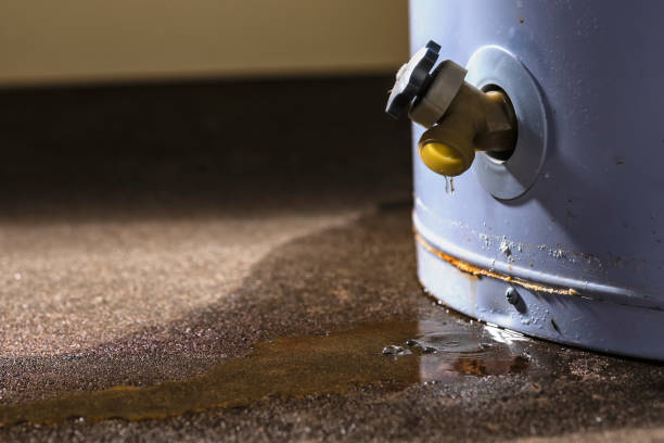 24/7 water damage repair in North Branch, MI
