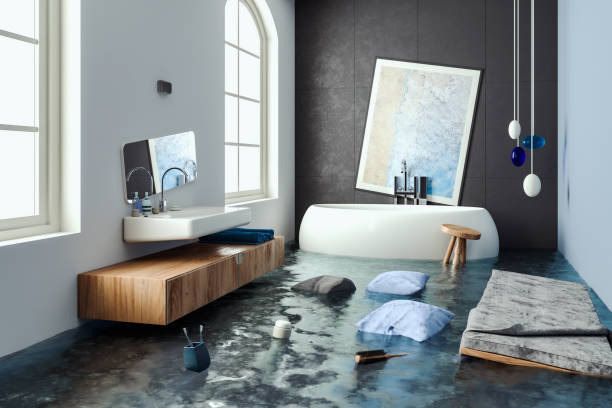 Trusted North Branch, MI Water damage restoration Experts