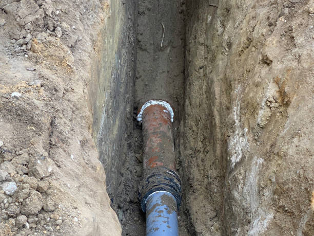 Best Basement water damage restoration  in North Branch, MI