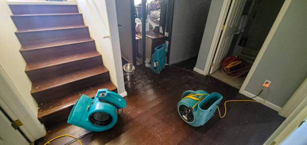 Best Sewage cleanup and water damage restoration  in North Branch, MI