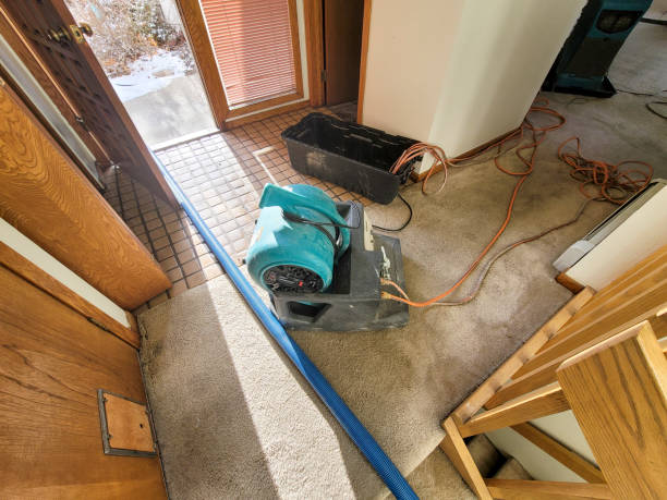 Best Flood damage cleanup  in North Branch, MI