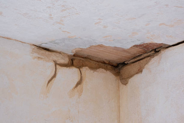 Best Sewage cleanup and water damage restoration  in North Branch, MI