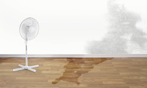 Best Emergency water damage restoration  in North Branch, MI