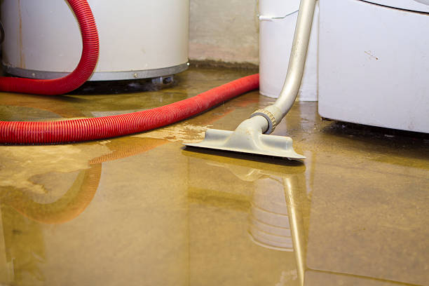 Best Residential water damage restoration  in North Branch, MI