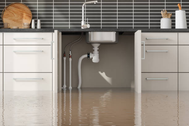 Best Water damage restoration near me  in North Branch, MI