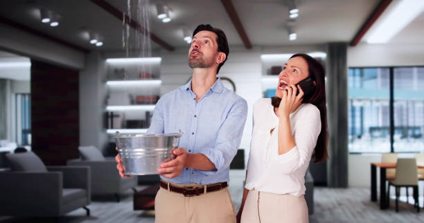 Best Carpet water damage restoration  in North Branch, MI