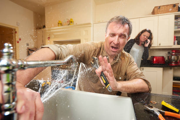 Best Professional water damage repair  in North Branch, MI